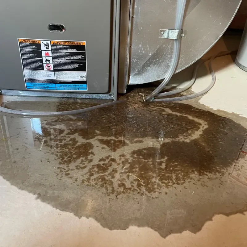 Appliance Leak Cleanup in Hamblen County, TN